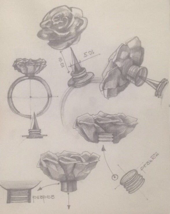 Evolution of Defender Ring™